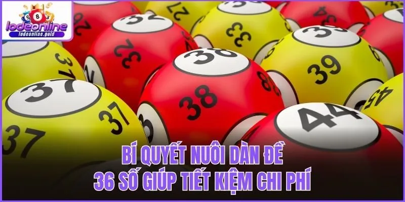 Bí quyết nuôi dàn đề 36 số giúp tiết kiệm chi phí